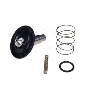 Opravná sada pre solenoidový ventil Bürkert 6213 0-10bar DN13 FKM VA DC